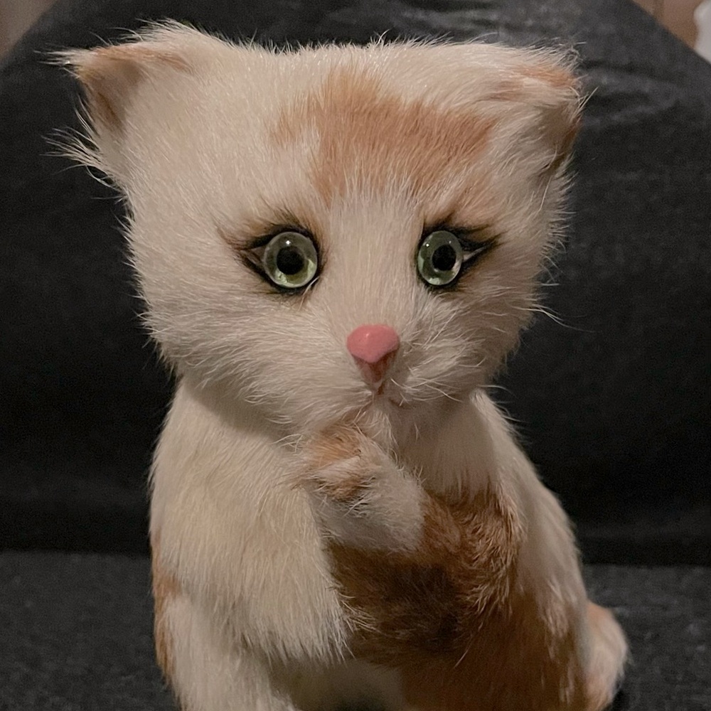 Vintage kitten made with real rabbit fur. #kitten #vintage